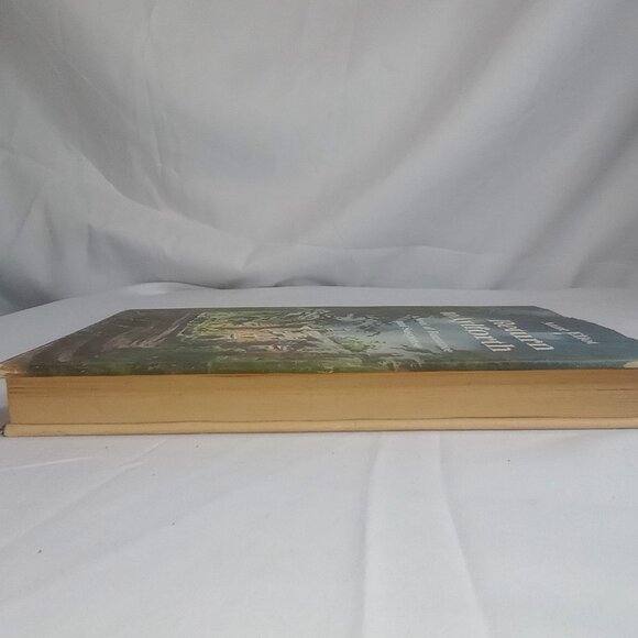 Return to Alyforth by Anne Hardcover First Edition 1967 A Novel of Romance and S - Picture 11 of 13